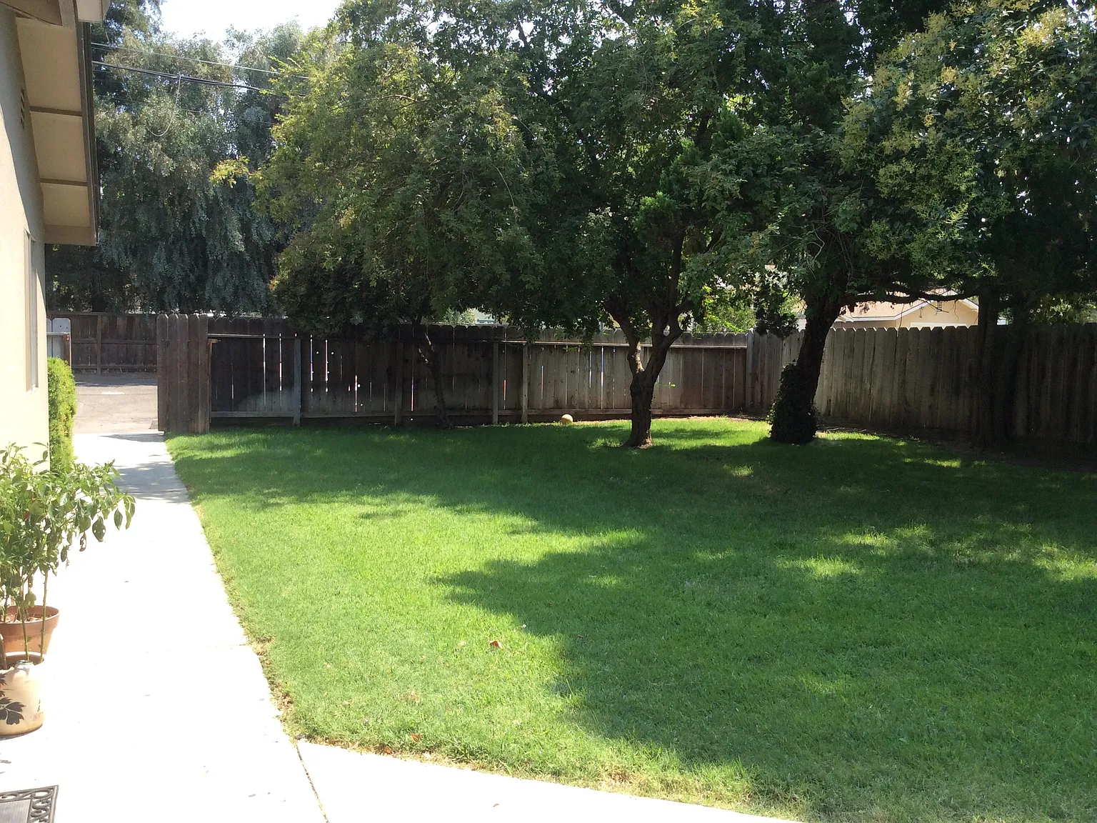534 Sunrise - 1 — Photo 3