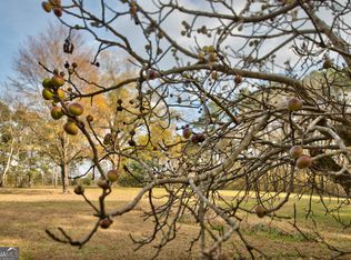 5140 Seven Islands Rd, Madison, GA 30650