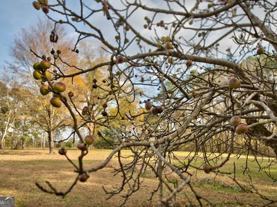 5140 Seven Islands Rd, Madison, GA, 30650