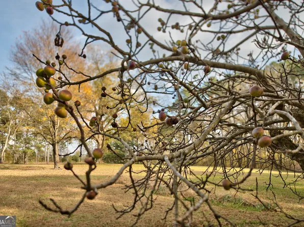 5140 Seven Islands Rd, Madison, GA 30650