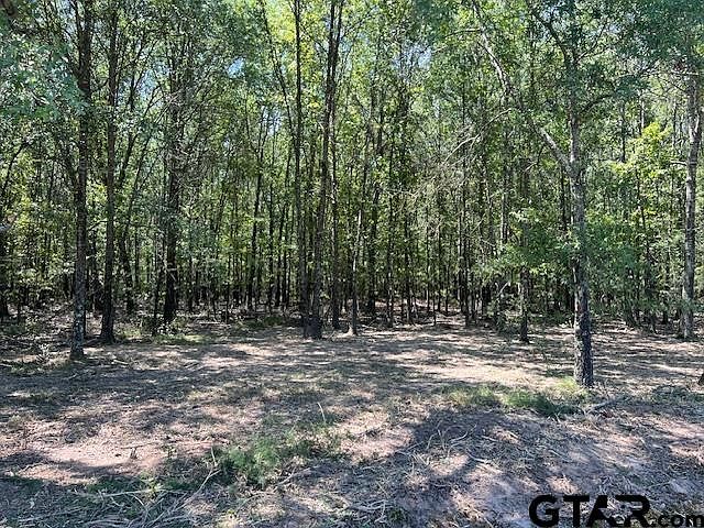 1st image of County Road 3925 Lot 4