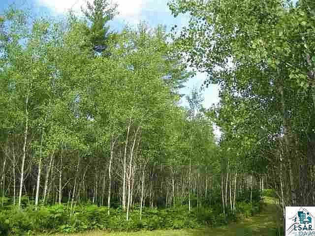 2nd image of 9730 County Rd 23