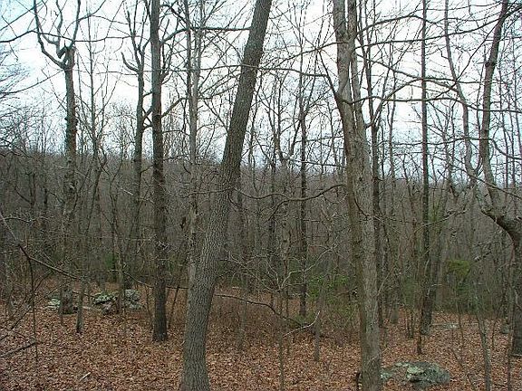 4th image of 3 Hwy 157