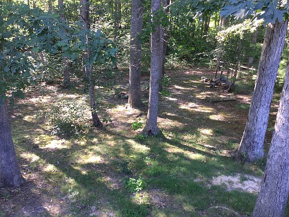 Shady backyard
