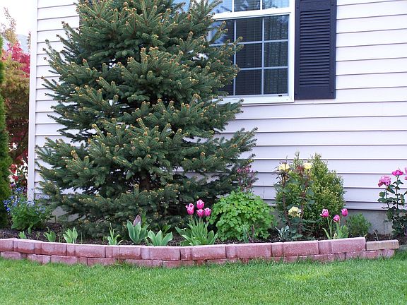 013_pic2_garden