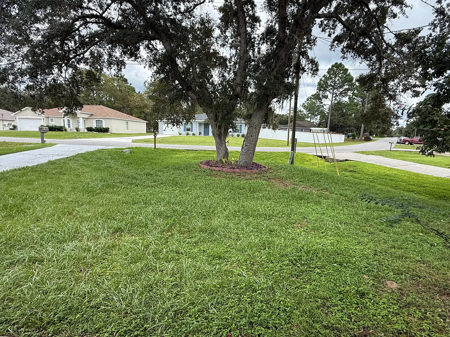 3 bed, 1079 sqft, $1,500 — Photo 4