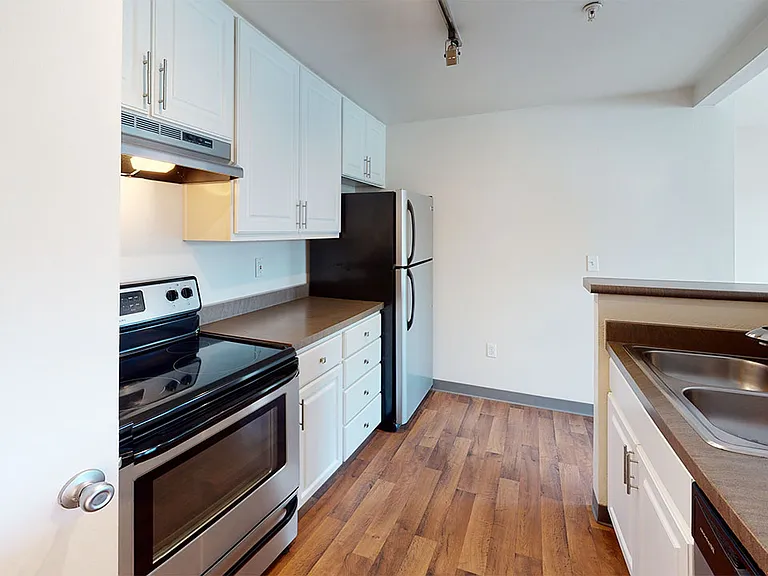 Apartment kitchen with stainless steel appliances in select homes and wood-style flooring.