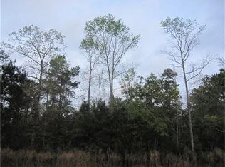 4203 Starling Stream Dr, Spring, TX 77386