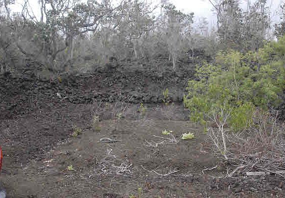3rd image of Lei Pkwy Lot 18