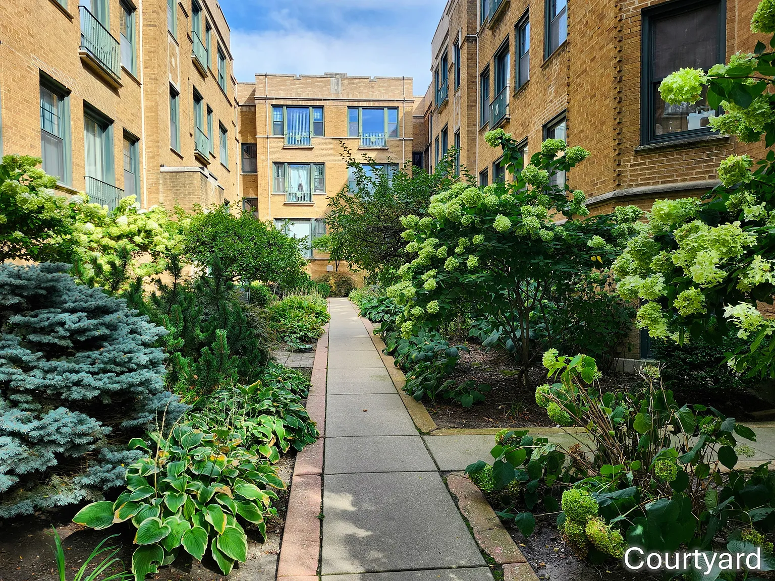 2 bed, 800 sqft, $1,825 — Photo 3