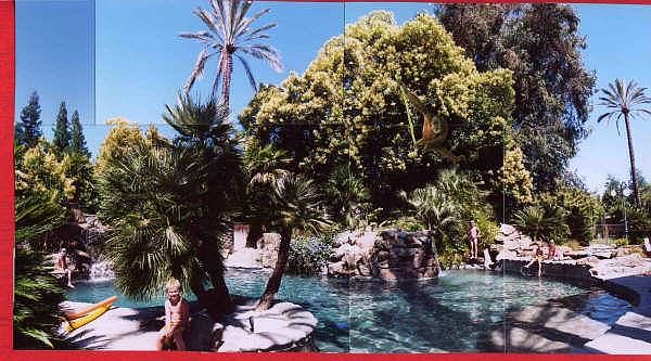 The back yard
