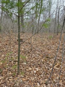 LOT 8 Lukes Ln, Danbury, WI, 54830