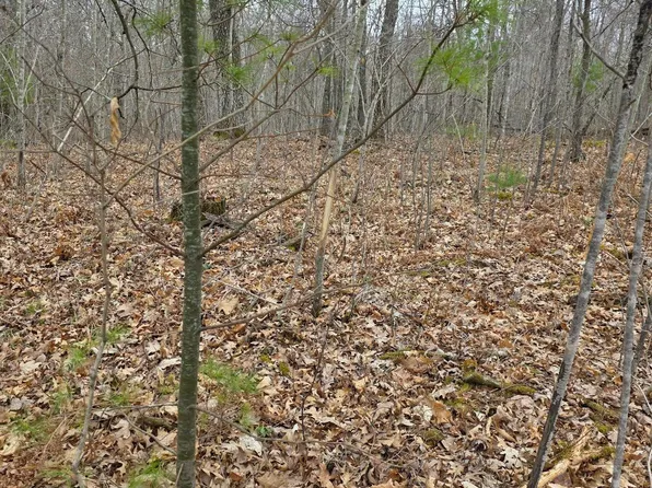 LOT 8 Lukes Ln, Danbury, WI 54830