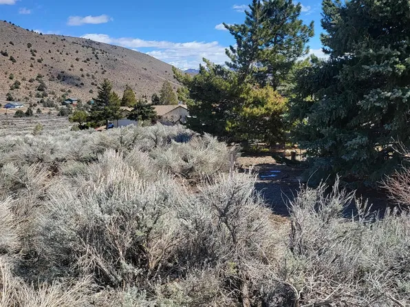 1925 Eureka St, Gardnerville, NV 89410