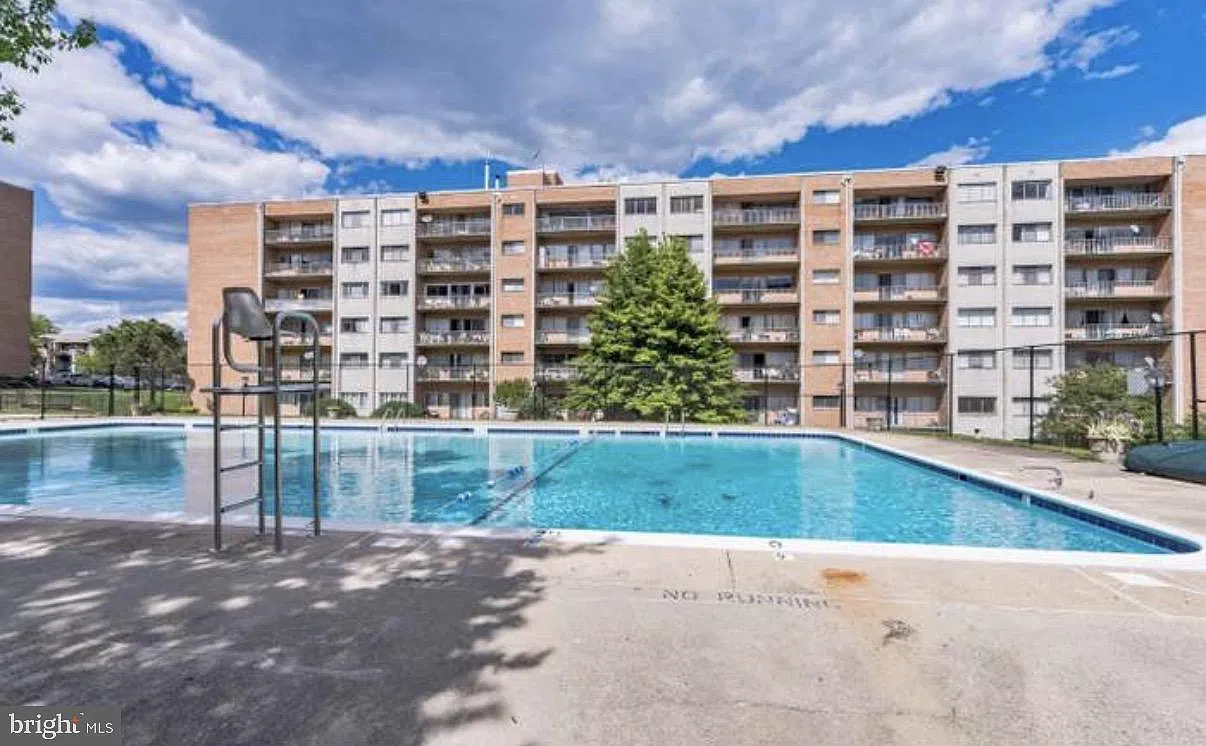 2 bed, 1.0 bath, 800 sqft, $2,300 — Photo 3