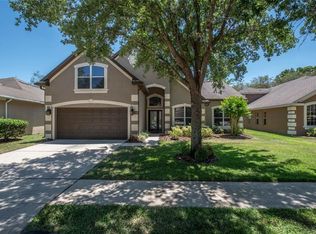 6119 Whimbrelwood Dr, Lithia, FL 33547