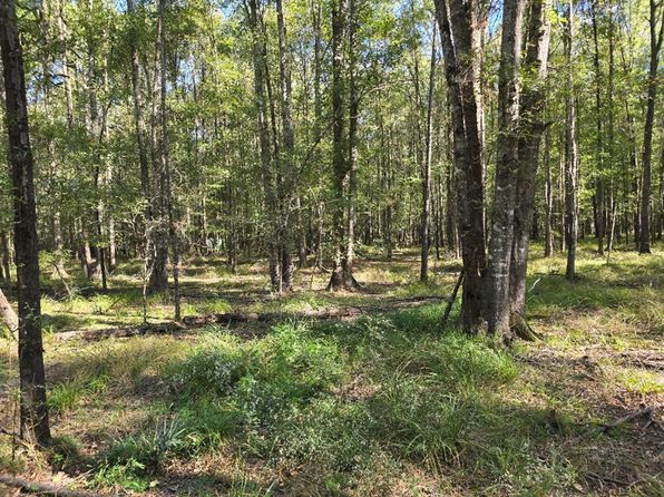 0 Dogtown Rd, Hazlehurst, MS 39083