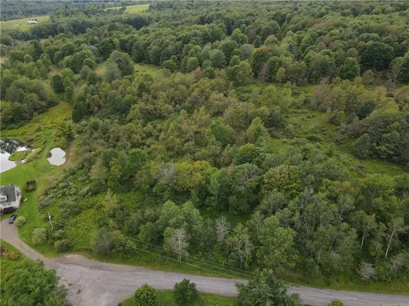 0 Mary Lynne Ln #9, Bainbridge, NY 13733