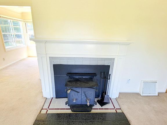 Wood stove and fireproof surround