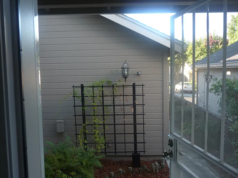 Front Yard