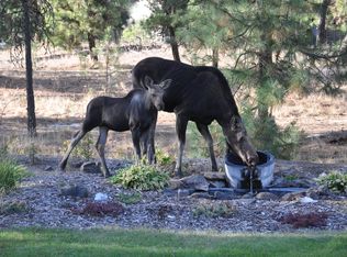15520 S Ramona Ln, Spokane, WA 99224