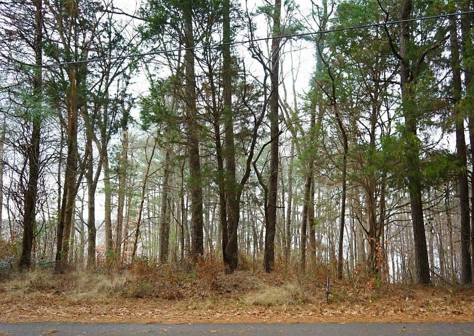 2nd image of 22 Dogwood Ln