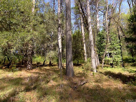 3rd image of 5896 Fickett Ln