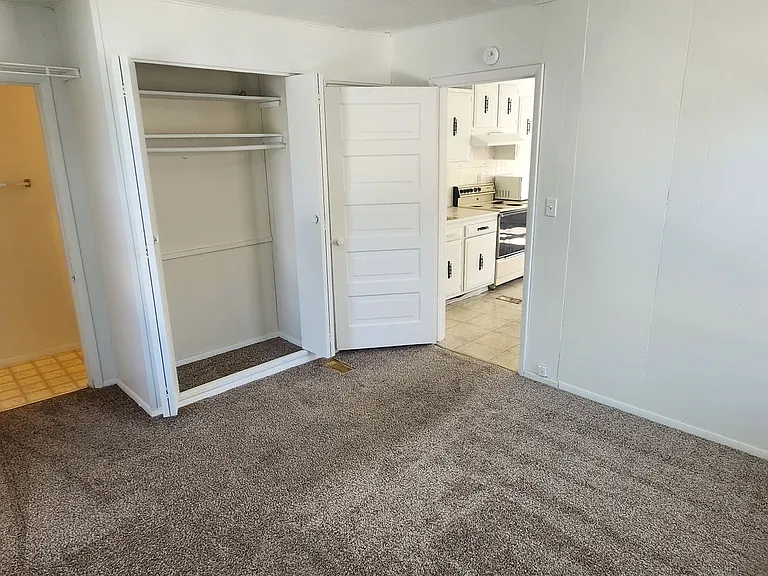421 South Chestnut Street — Photo 7