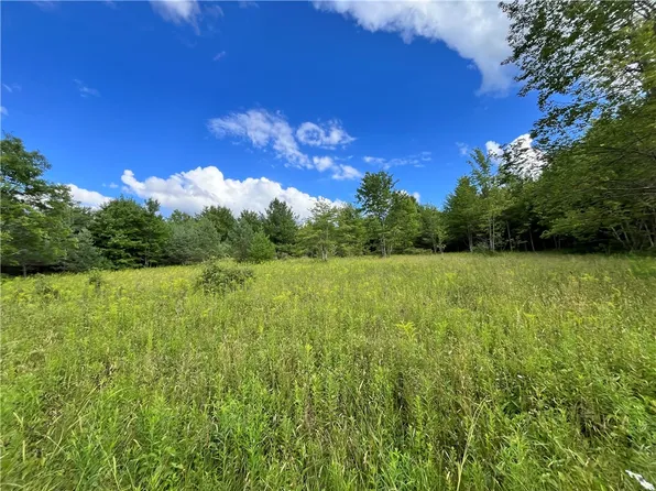 LOT 6 S Greenbush Rd Lot 6, Erin, NY 14838