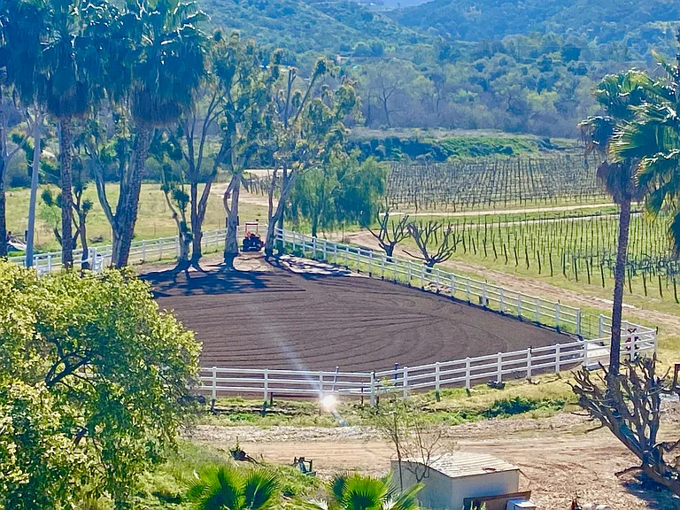 7280 Via Mariposa Norte — Photo 4
