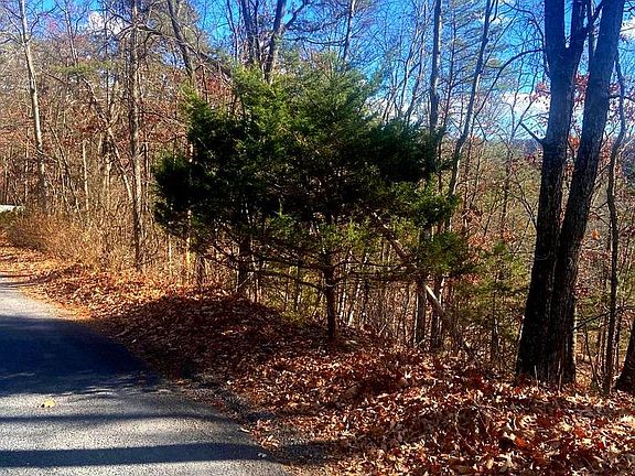 2nd image of Spitz Ln