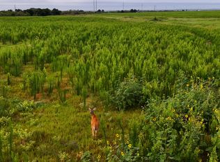 Highway 287, Quanah, TX 79252