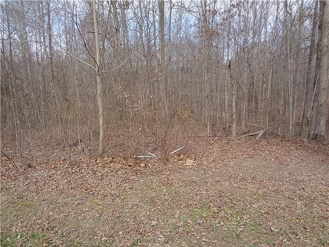 2nd image of 0 Davis Rd