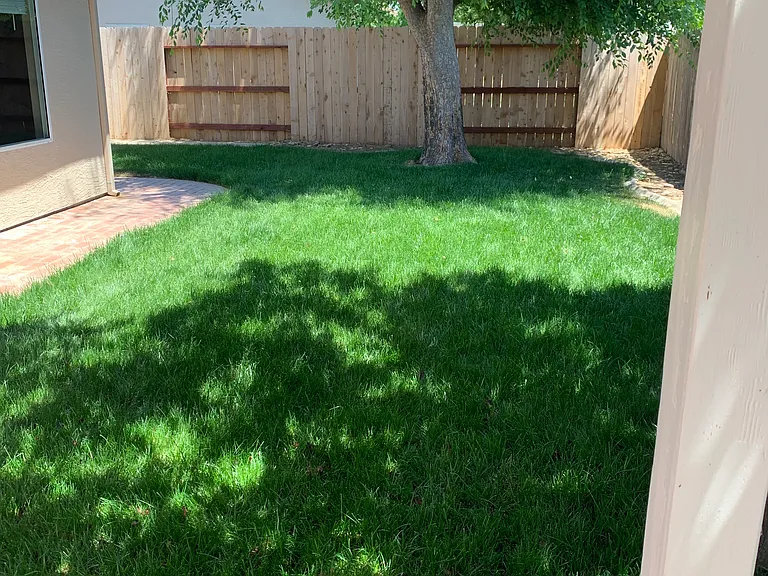 1264 Ivywood Dr — Photo 3
