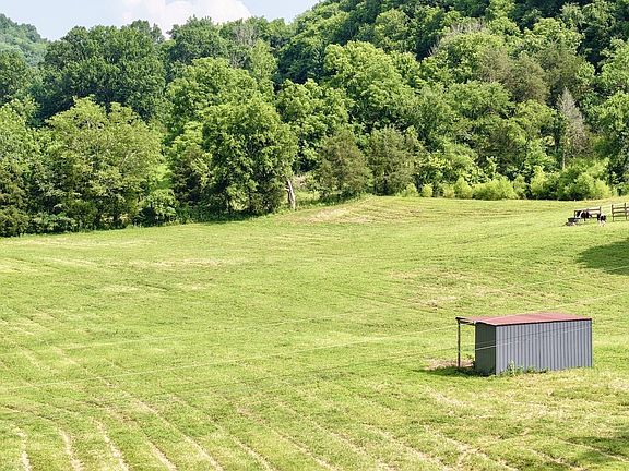 14th image of 161 Fowler Rd