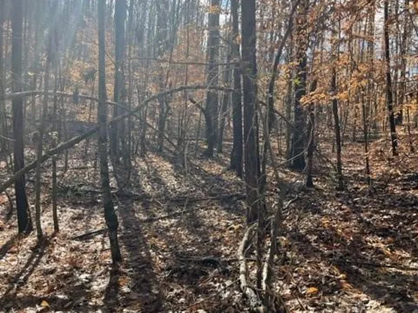 0 Taylorsville Rd Lot 1, Taylorsville, GA 30178