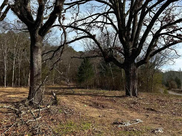 13 Southside Rd, Oden, AR 71961
