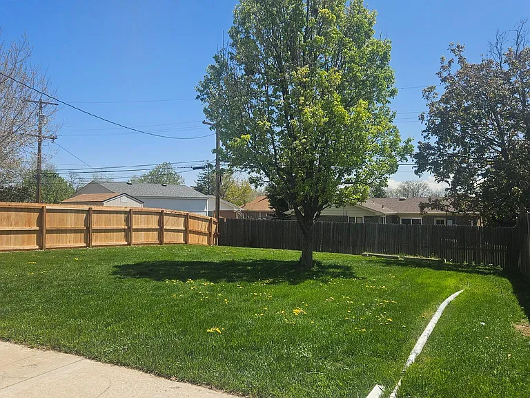 Fenced Backyard