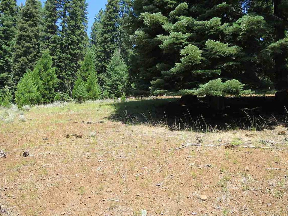 2nd image of 1007 Timber Ridge Rd