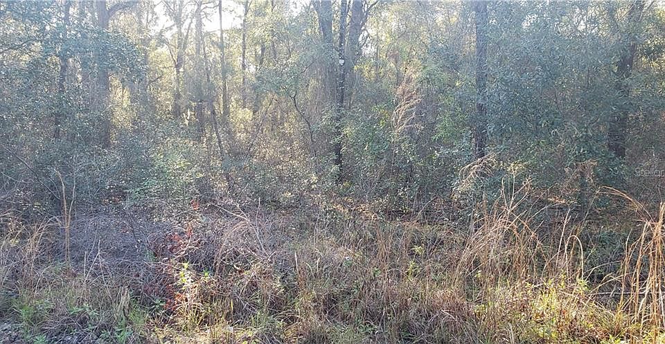 1st image of Trinidad St