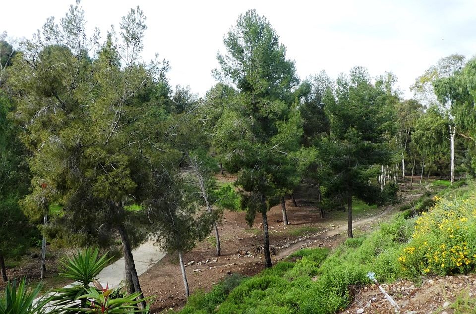 1st image of 11205 Promesa Dr