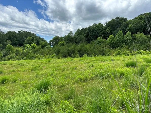 580 Shumont Rd, Black Mountain, NC 28711