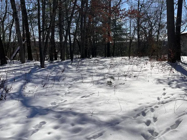 6420 E Carrigan Dr, Newaygo, MI 49337