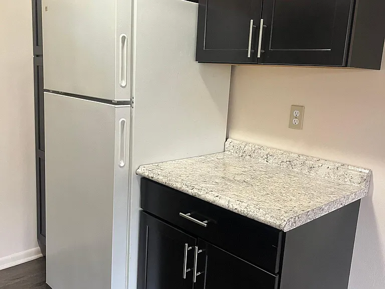 387 W Monroe St #2 — Photo 6