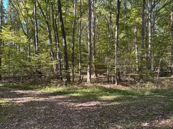 1210 Lee Pl Lot 1210, White Pine, TN 37890