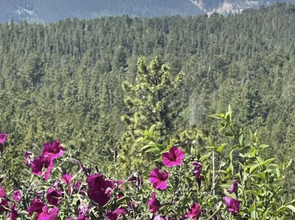 (undisclosed Address), Nederland, CO 80466