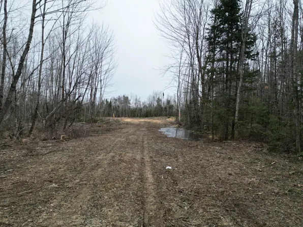 Lot 52.3 Lagrange Road, Orneville Twp, ME 04463