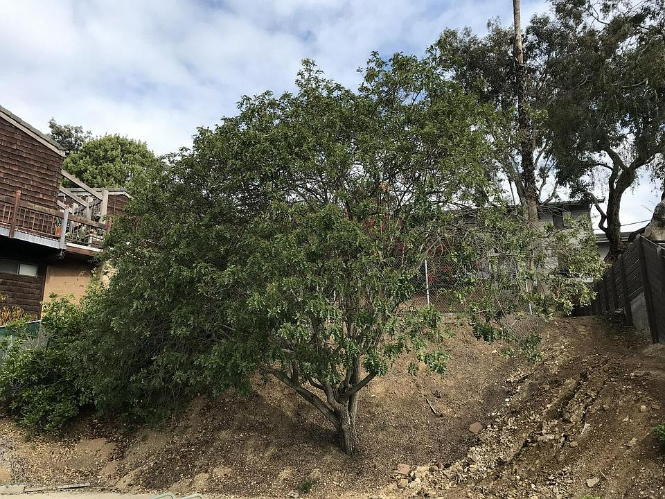 2nd image of 1455 Indiana Ave
