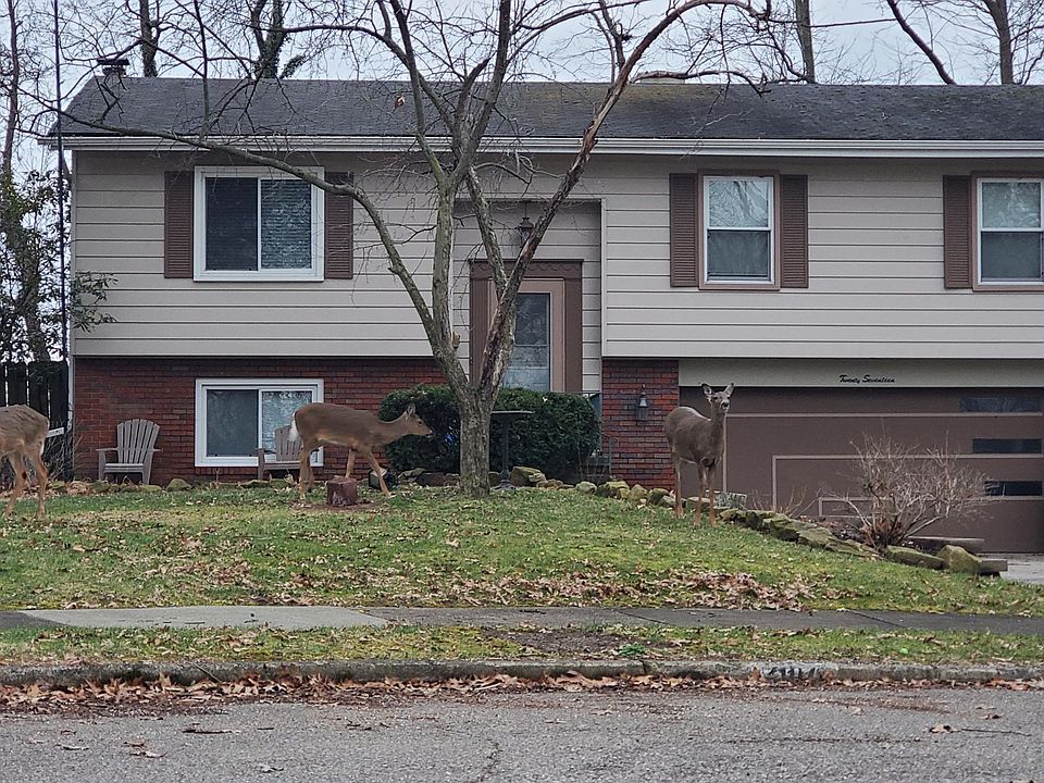 1st image of 2017 Chestnut Hill Dr