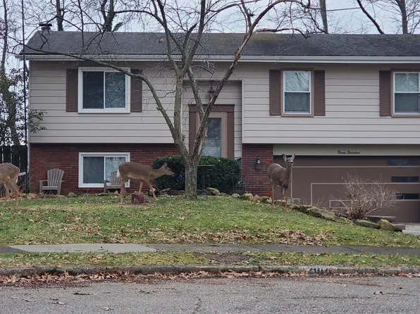 2017 Chestnut Hill Dr, Youngstown, OH 44511